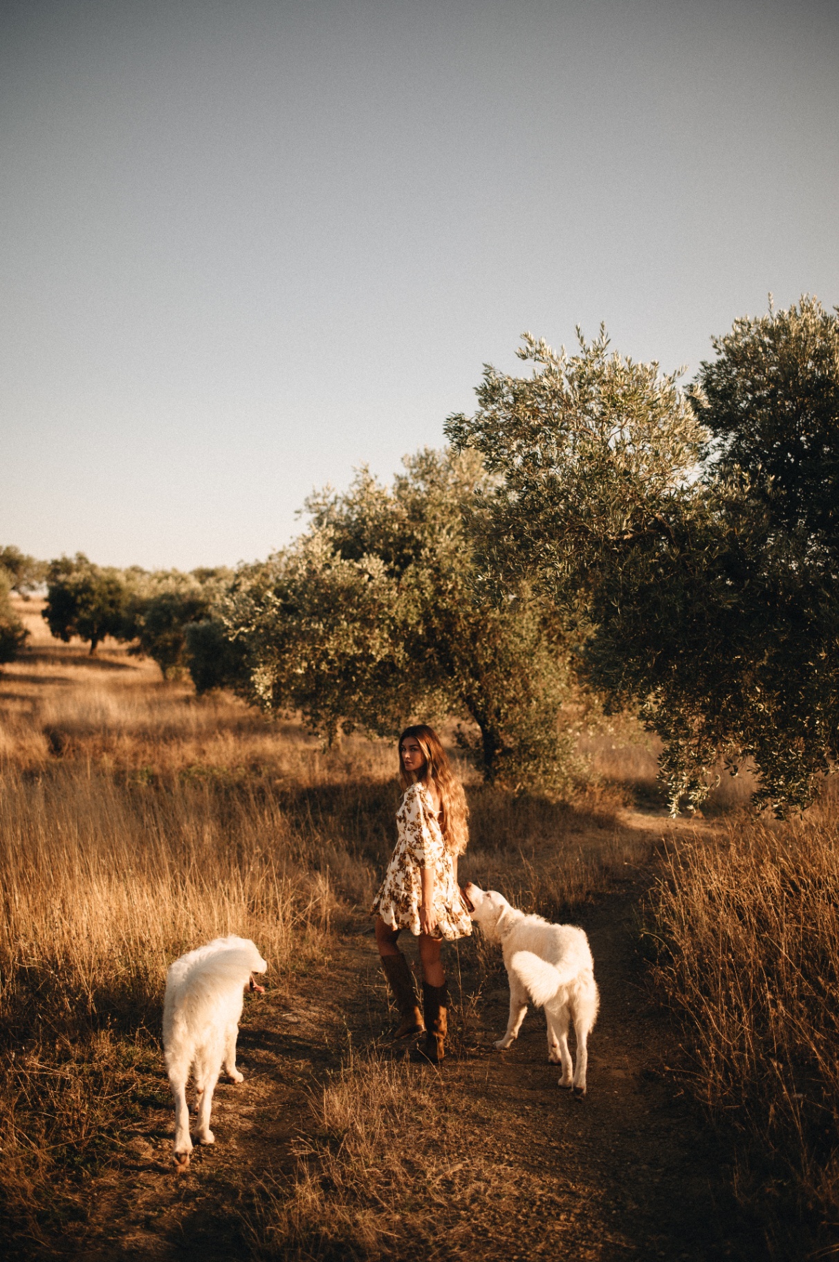 Walking through the grove with the farm dogs