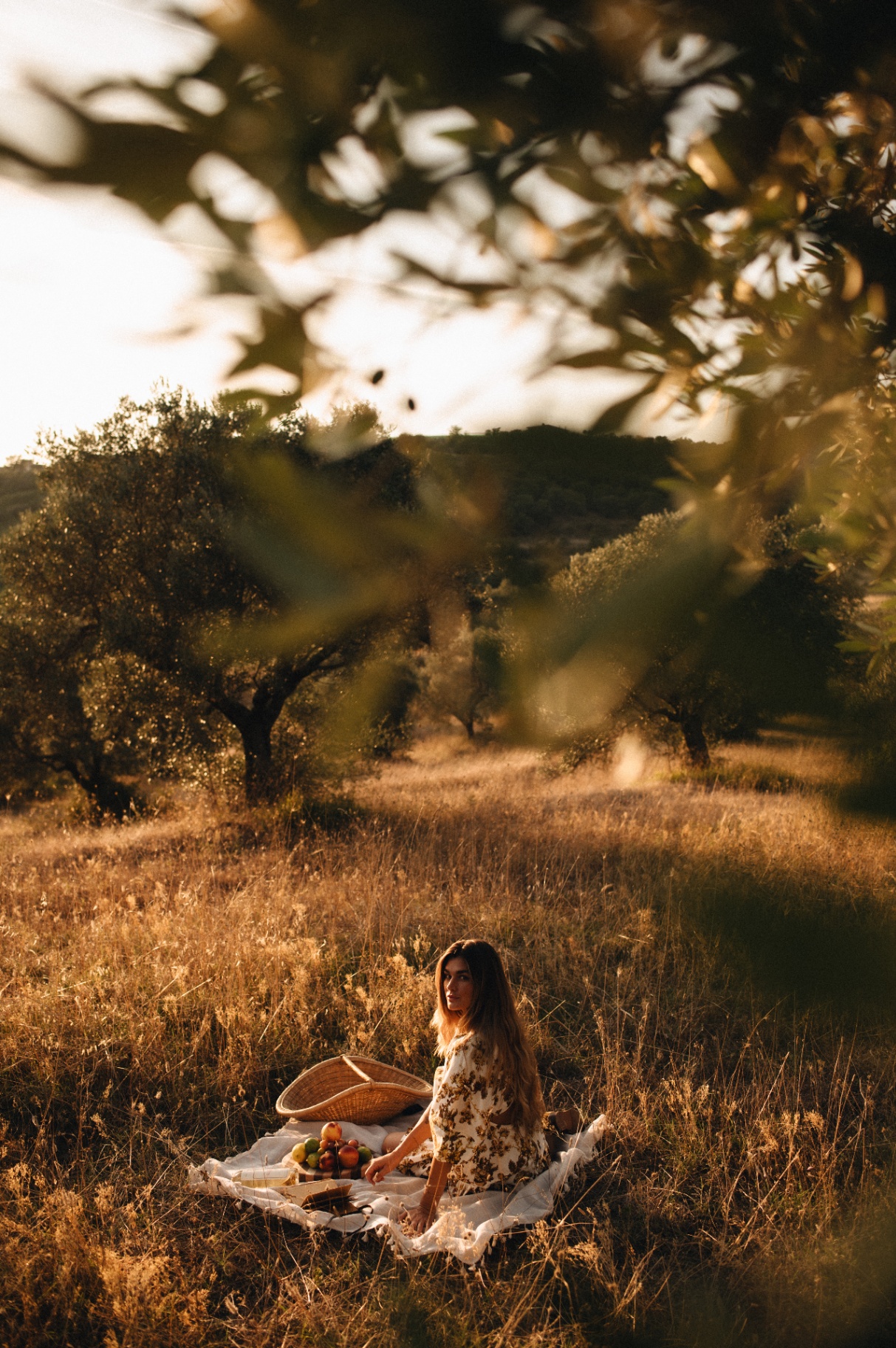 Afternoon under the olive trees