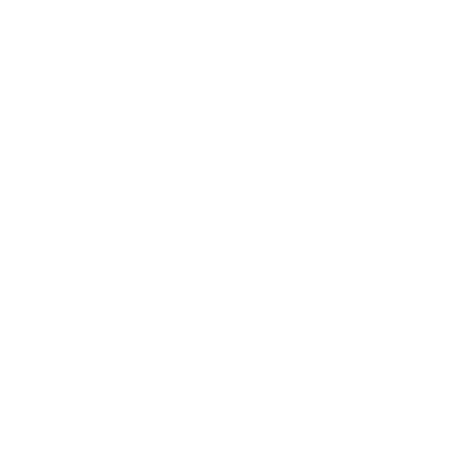Shayna's Kitchen